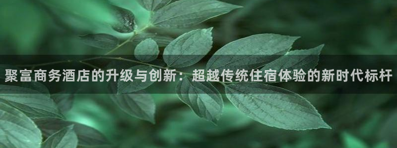 聚富商务酒店的升级与创新：超越传统住宿体验的新时代标杆