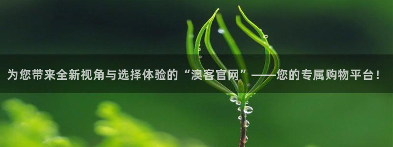 为您带来全新视角与选择体验的“澳客官网”——您的专属购物平台！