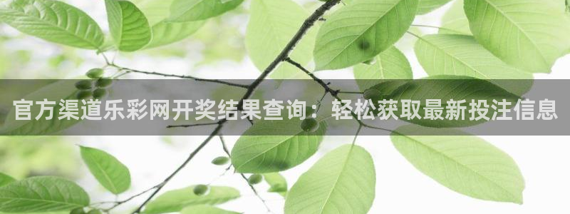 U8国际平台开户