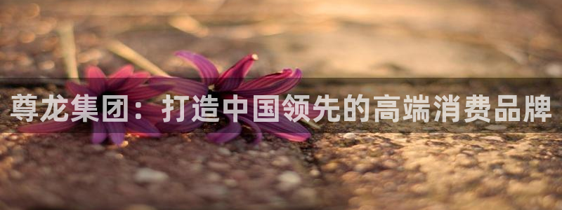 U8国际4平台：尊龙集团：打造中国领先的高端消费品牌