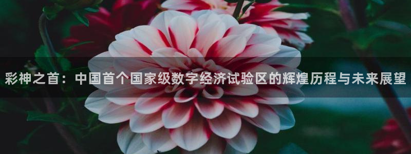 U8国际招商：彩神之首：中国首个国家级数字经济试验区的辉煌历程与未来展望