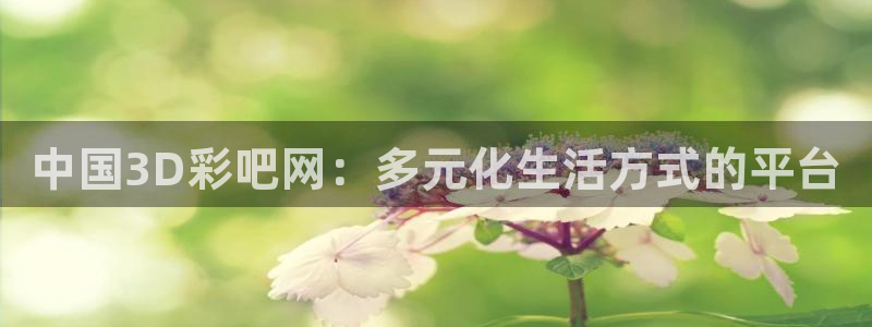 U8国际3官网：中国3D彩吧网：多元化生活方式的平台
